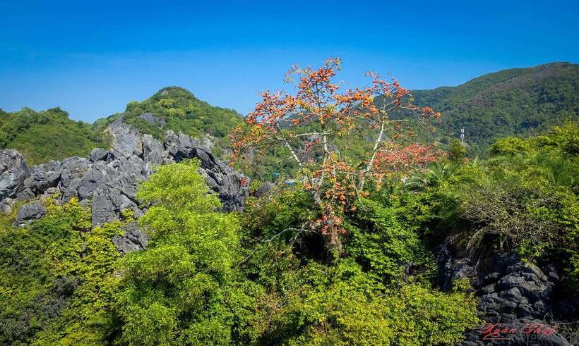 Hanoi: Ha Long Bay & CatBa Island 3-Day with Boutique Cruise - Day 2: Cave time, checkout, and the move to Cat Ba