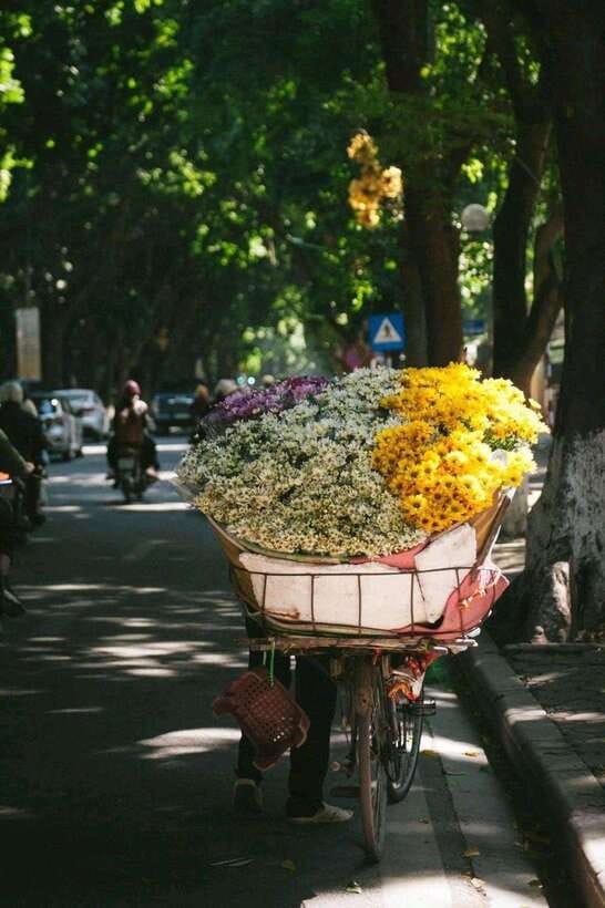 Hanoi: Half-day Private City Tour - Ba Dinh Square and Ho Chi Minh’s Mausoleum