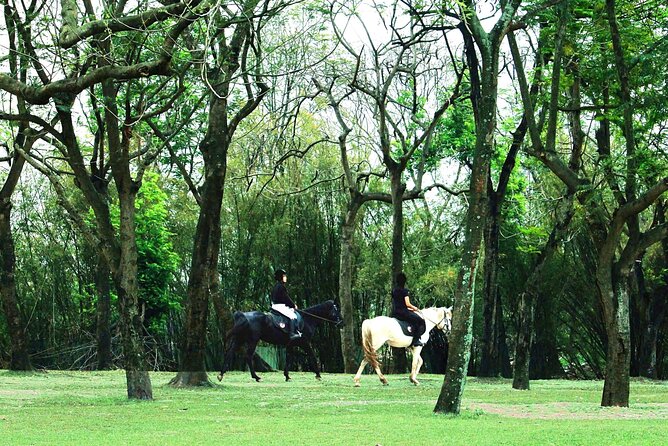 Hanoi Horseback Riding Club & Tours - Exclusive Experience - Key points to know before booking