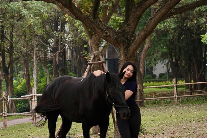 Hanoi Horseback Riding Club & Tours - Exclusive Experience - Riding the 2,000-meter Beginner’s Trail