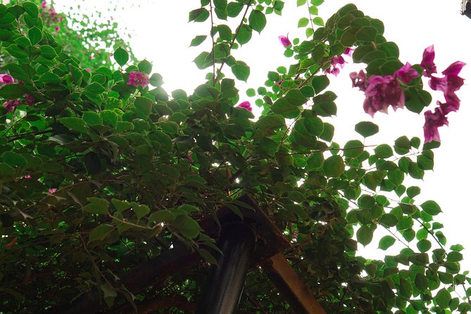 Hanoi Market & Villa Cooking Class: Free Old Quarter Transfer - Practical details to sort out before you go
