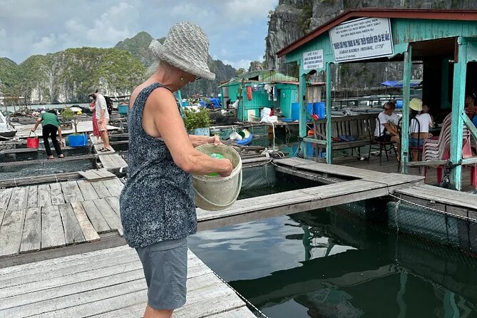 Hanoi-Ninhbinh-Halong: Lan Ha Bay 2 Days 1 Night Overnight Cruise - Food, cabins, and what the $138 covers