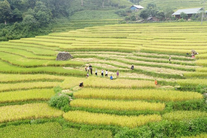 Hanoi - Sapa 2 Days 1 Night Overnight At Local Homestay - Ta Van Village and the private homestay