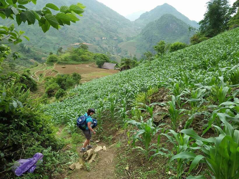 Hanoi- SaPa: 3-Day Homestay Trek to Explore Ethnic cultures - Who should book this Sapa trek?