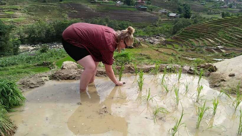 Hanoi- SaPa: 3-Day Homestay Trek to Explore Ethnic cultures - From Hanoi’s Old Quarter to Sapa before sunrise