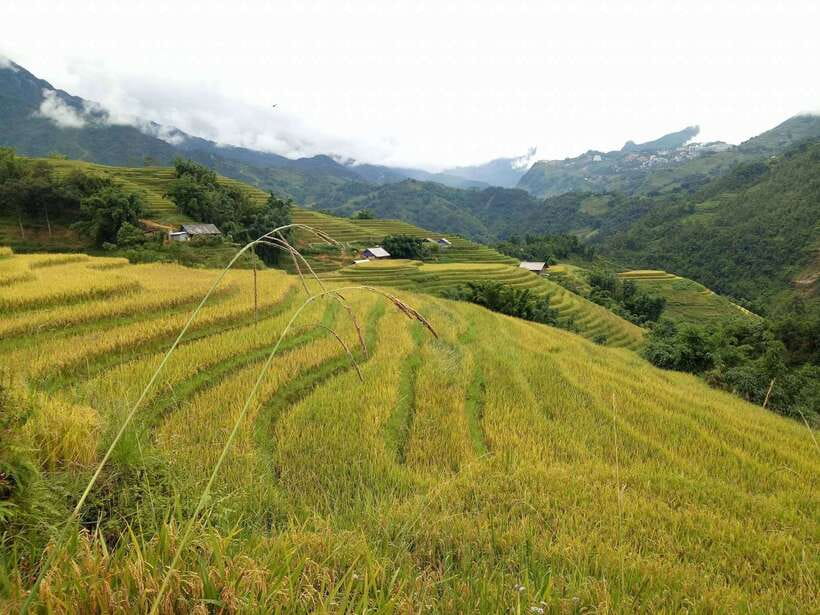 Hanoi- SaPa: 3-Day Homestay Trek to Explore Ethnic cultures - The guides can shape the whole trip