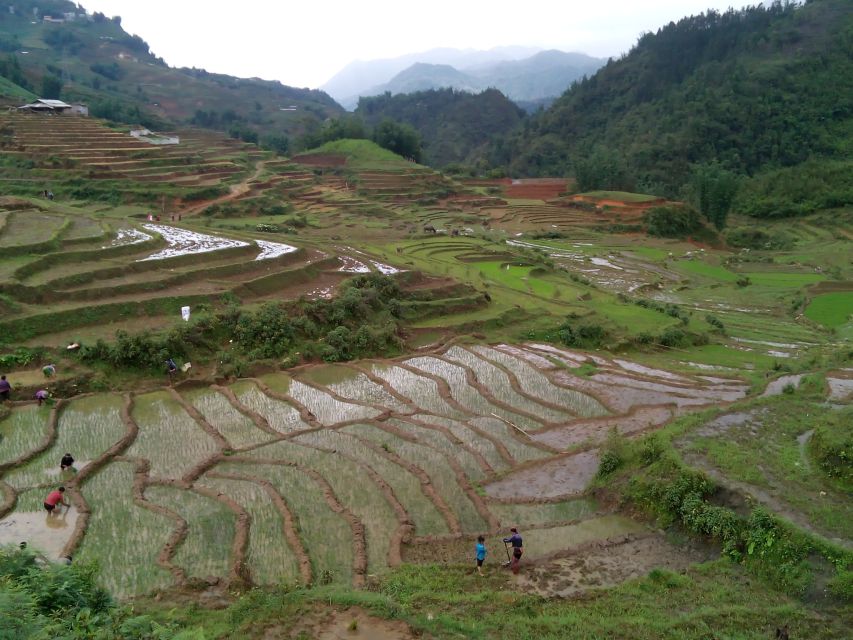Hanoi- SaPa: 3-Day Homestay Trek to Explore Ethnic cultures - Is $139 a fair price?