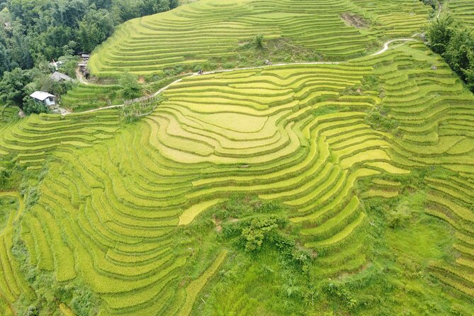 Hanoi - Sapa 3 Days - 2 Nights Trekking with With the locals - The early ride from Hanoi to Sapa