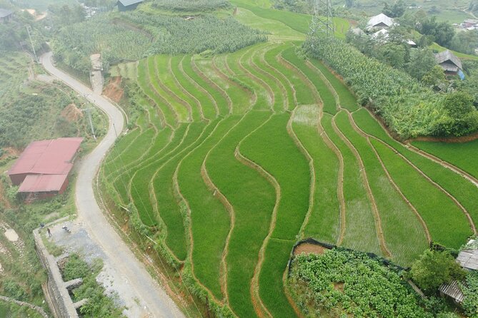 Hanoi - Sapa 3 Days - 2 Nights Trekking with With the locals - Who will get the most from this Sapa trip?