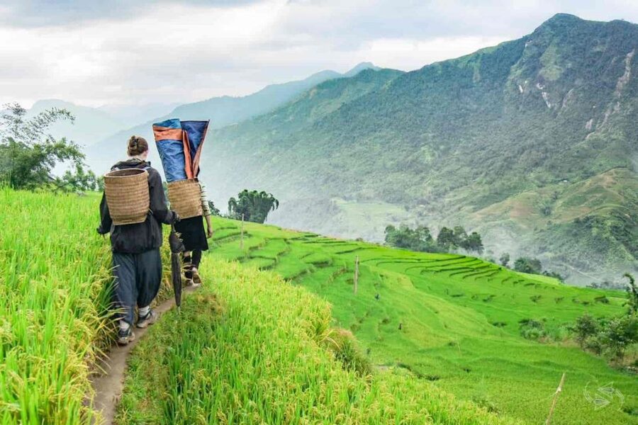 Hanoi: Sapa Trekking 2 Days 1 Night - Sleeper Bus from Hanoi - What is included for $90