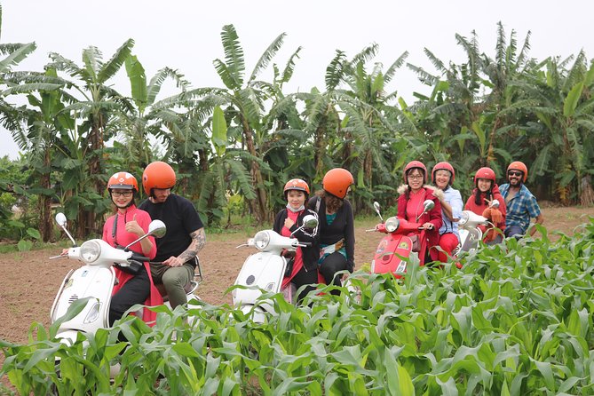 Hanoi Vespa Countryside Tour With Female Ao Dai Riders Half Day - Vegetable farms, rice fields, and village roads