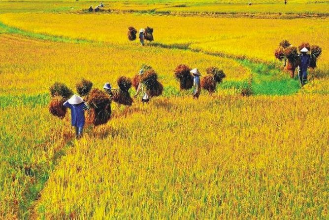 Hanoi Vespa Countryside Tour With Female Ao Dai Riders Half Day - The pagoda and temple stop near Hanoi