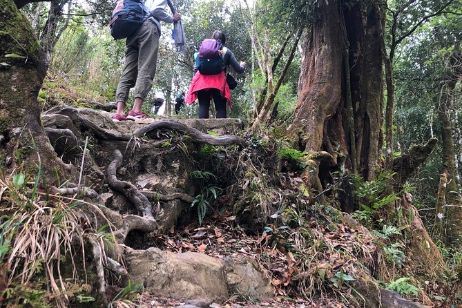 Hiking Fansipan in 1 day - Is $99 good value for this day?