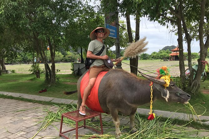 Hoa Lu - Mua Cave - Tam Coc/Trang An - DELUXE Small Group Tour - What the guide adds to the day