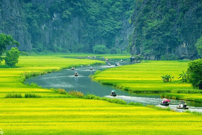 Hoa Lư Tam Coc & Mua Cave full day Including Buffets Lunch - The Ngo Dong River boat trip