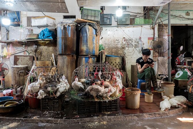 Into the Thieves Market Hanoi Photo Tour - What the four-hour private format changes