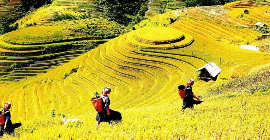 Journey Through Sapa Terraces & Traditions - How hard is the seven-hour hike?