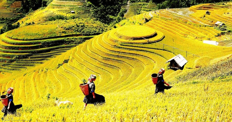 Journey Through Sapa Terraces & Traditions - The descent along Cat Cat Road
