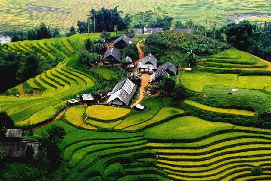 Journey Through Sapa Terraces & Traditions - Lunch in Y Linh Ho with a local family