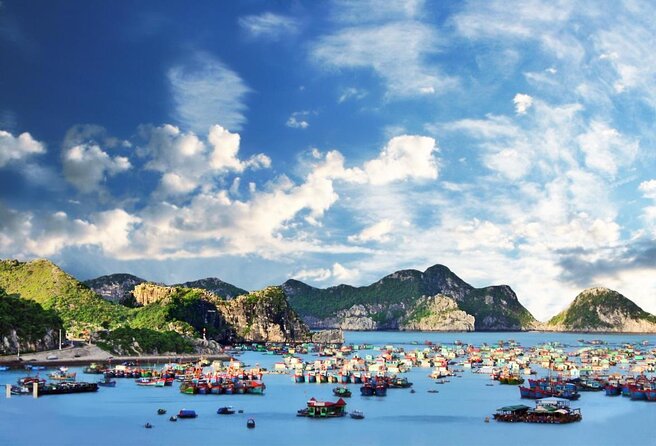 La Pandora Cruise Explore Ha Long Bay and Cat Ba Island 2 days 1 night on boat - Lunch and the first afternoon on the bay