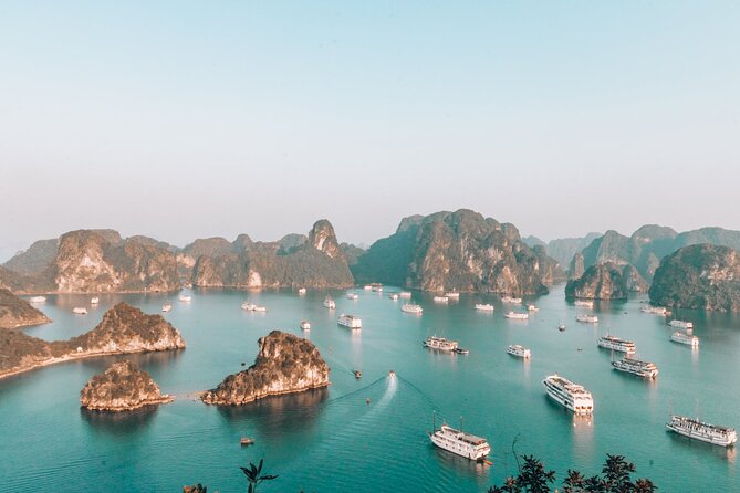 LIKE A BOSS-Luxury options-2d/1n All inclusive in Halong Bay - Boarding, lunch, and the first views of the bay
