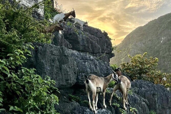 Luxury Full Day Ninh Binh Tour From Hanoi - Cycling through the countryside to Bich Dong Pagoda