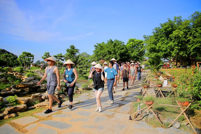 Luxury Hoa Lu Tam Coc Mua Cave 1 Day With Limousine Bus And Lunch - Rowing through Tam Coc’s three caves