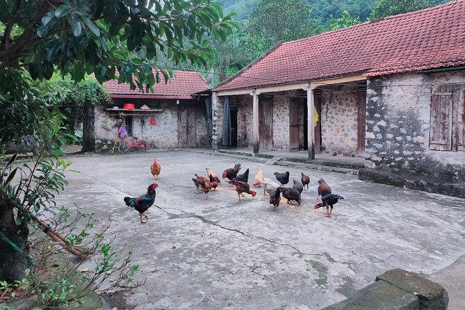 Luxury Ninh Binh Full Day Tour From Hanoi (Trang An - Hoa Lu) - The return to Hanoi and the real cost of the day