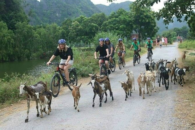 Luxury small Group Hoa Lu - Tam Coc - Mua Cave Max 6 - 8 pax/tour - Mua Cave and the 500-step climb