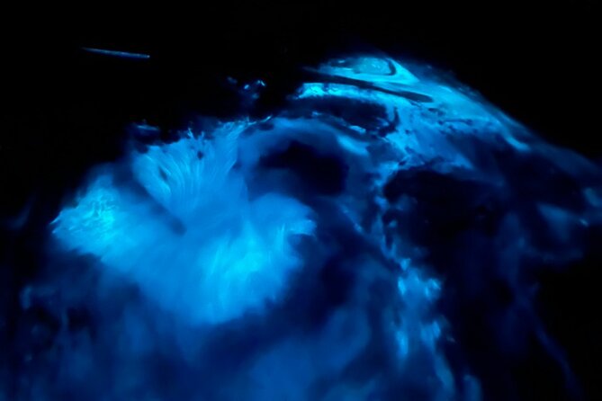 Magical Sunset and Evening with glowing plankton by Cat Ba Local - Why the night kayak is the real prize