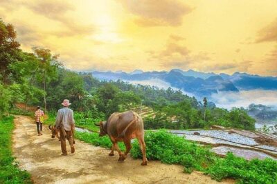 MAI CHAU 1 DAY TOUR | HIDDEN CHARM | SHARED or PRIVATE OPTIONS