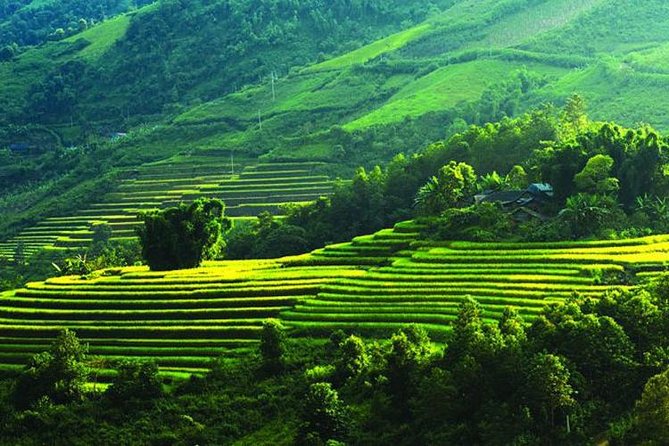 Mai Chau Private Day Tour: Hiking & Biking in Pristine Landscapes - Arriving in Mai Chau for tea and a family meal