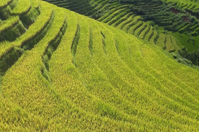 Mai Chau – Pu Luong 2D1N - Why Mai Chau and Pu Luong Work Well Together