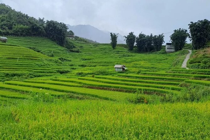 Mai Chau – Pu Luong 2D1N - Meals, Comfort, and What to Pack