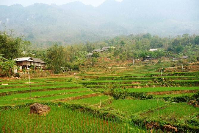 Mai Chau – Pu Luong 2D1N - Is $180 Good Value?