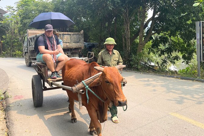 Majestic Ninh Binh Discovery: Mua Cave & Tam Coc private tour - What the $135 price includes
