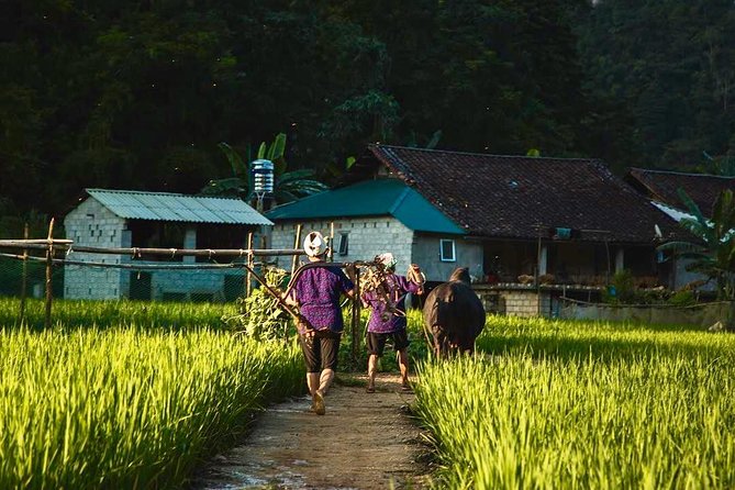 Majesty Of Untouched Northern Vietnam Tour 6 Days - Day five: Five mountain passes to Ba Be Lake