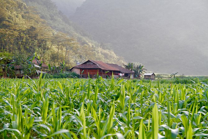 Majesty Of Untouched Northern Vietnam Tour 6 Days - Day six: Three hours on Ba Be Lake
