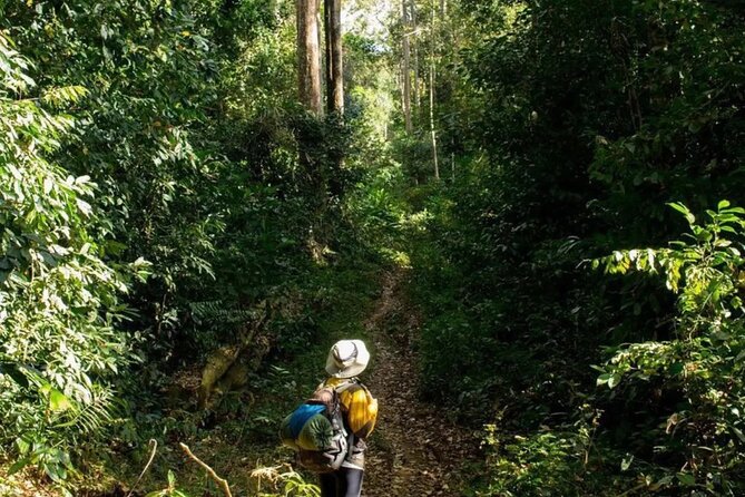 Mount Fansipan 2 Days Trek – Roof of Indochina - From Sapa Church to Tram Ton Pass
