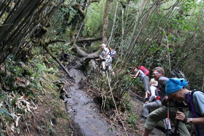 Mount Fansipan 2 Days Trek – Roof of Indochina - The pre-sunrise push to Fansipan Peak