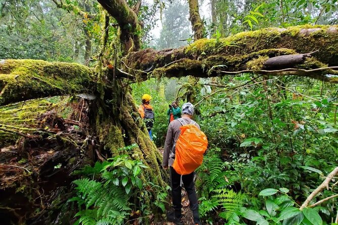 Mount Fansipan 2 Days Trek – Roof of Indochina - What the $185 price really covers