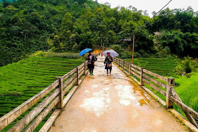 Muong Hoa Valley Trek & Homestay Experience - 4D3N - Day four, following the Muong Hoa River