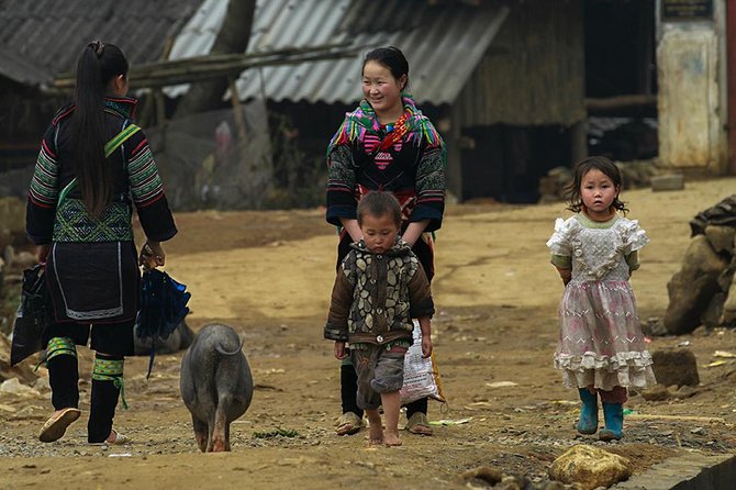 Muong Hoa Valley Trek & Homestay Experience - 4D3N - Day one, from Y Linh Ho to Ta Van