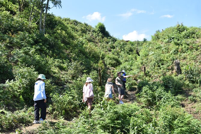 Muong Hoa Valley View & Village Trek in Sapa 1 Day - Hau Thao and the final terrace views