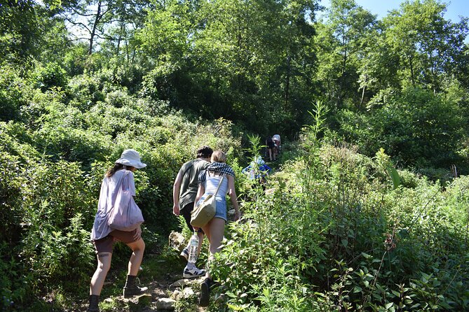 Muong Hoa Valley View & Village Trek in Sapa 1 Day - Weather, fitness, and what to pack