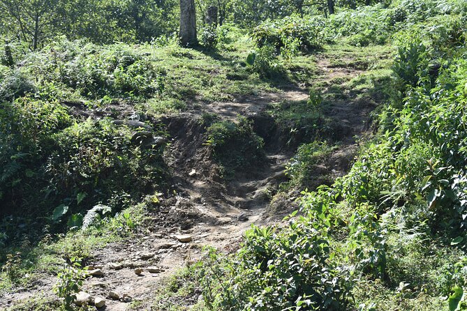 Muong Hoa Valley View & Village Trek in Sapa 1 Day - The cultural value of an English-speaking local guide