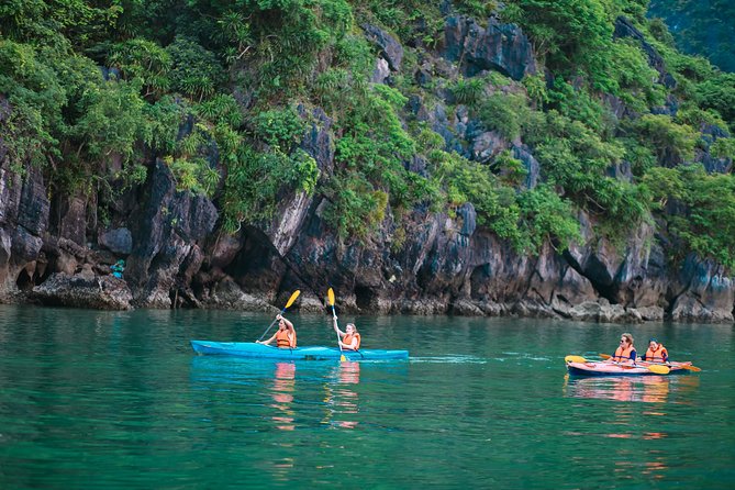 New Cruise Ha Long - CATAMARAN PREMIUM - Boarding at Tuan Chau Marina around 11:30