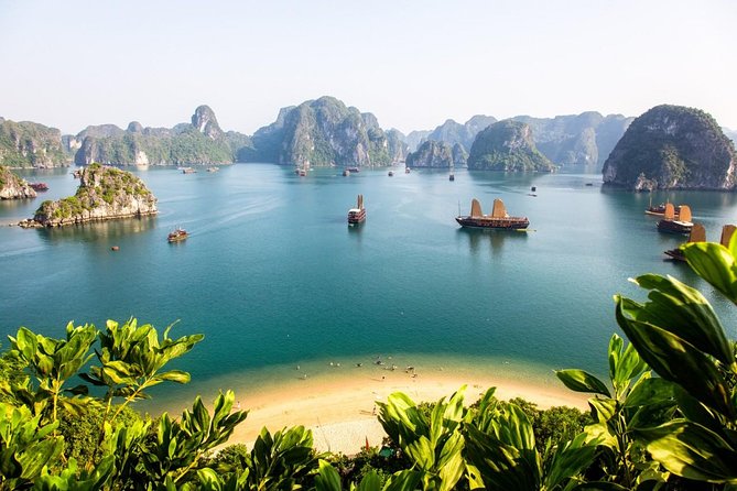 New Cruise Ha Long - CATAMARAN PREMIUM - Dark and Bright Cave by kayak or bamboo boat