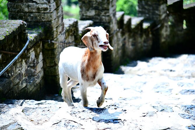 Ninh Binh 2 days 1 night Tour from Hanoi (Small Group of 9) - Sleeping in a bungalow near Ninh Binh