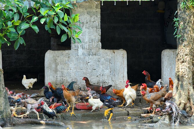 Ninh Binh 2 days 1 night Tour from Hanoi (Small Group of 9) - The sampan ride through Ninh Binh